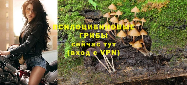 PSILOCYBIN Балахна