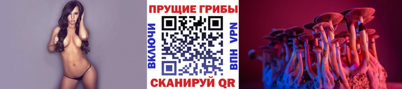 сайты даркнета какой сайт  Саянск  Галлюциногенные грибы прущие грибы 